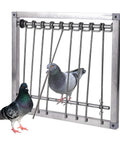 One Way Stainless Steel Pigeon Trap Door For Bird Cages And Pigeon Houses, 29 By 26 Cm Frame With Wire Bars, Durable Entrance U Trap