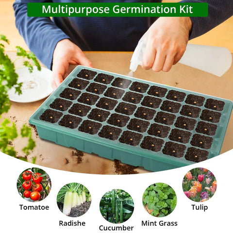 Seed Starter Tray With Grow Light And Digital Controller 80 Cell Germination Kit With Humidity Dome shown in use on table