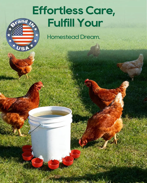 68 Piece Sleek Chicken Waterer Cups Delivering No Sweat Automatic Leak Proof Poultry Watering Station With Tee Fittings And Hole Opener For Rock Solid Hydration In Vibrant Red with chickens and water bucket.
