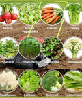Hand Push Precision Seed Planter For Row Crops, 2 Row Garden Seeder with various vegetables in a garden setting