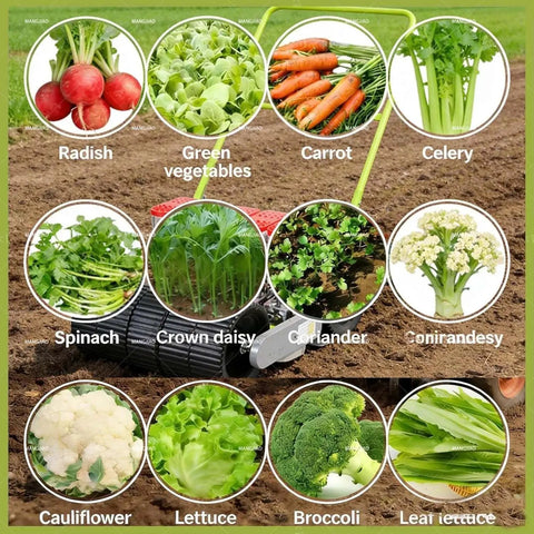 Hand Push Precision Seed Planter For Row Crops, 2 Row Garden Seeder with various vegetables in a garden setting