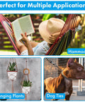 Collage of uses for screw eyes: woman reading in hammock, hanging plants, dog on chain outside.