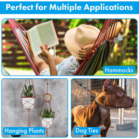 Collage of uses for screw eyes: woman reading in hammock, hanging plants, dog on chain outside.