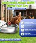 Top Shelf Automatic Animal Water Bowl With Stainless Steel Body, Dual Float Valve And 71 Inch Hose For Farm No Sweat Setup, Self Fill Kit For Livestock And Pet Care with chicken near bowl.