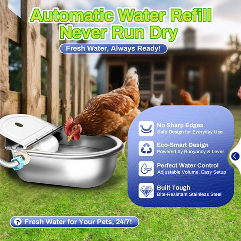 Top Shelf Automatic Animal Water Bowl With Stainless Steel Body, Dual Float Valve And 71 Inch Hose For Farm No Sweat Setup, Self Fill Kit For Livestock And Pet Care with chicken near bowl.