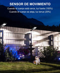 Night garden fence lit by Outdoor Solar Lights 1000 Lumens 156 LED Solar Powered Motion Sensor Flood Lights with a dog.