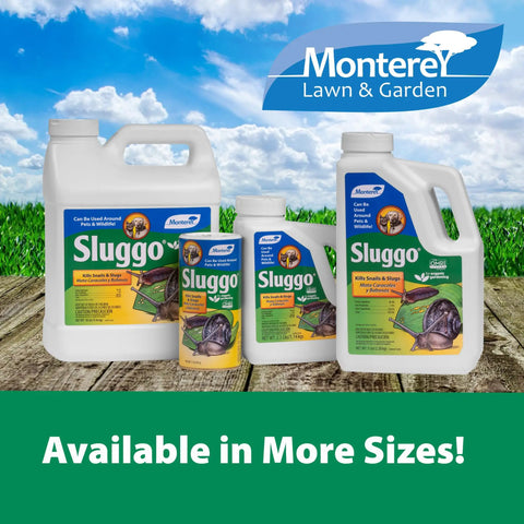 Sluggo Snail And Slug Killer Bundled With Measuring Spoon For Organic Gardening OMRI Listed Wildlife Friendly Pet Safe 1 Pound Shaker Can For Lawns And Gardens Greenhouses Vegetables Fruits Berries And Ornamentals bottles on display