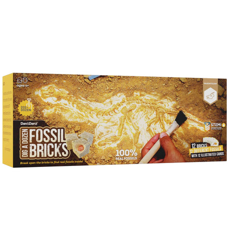 Dig Up 12 Real Fossils From Break Open Brick Blocks And Discover 12 Unique Finds Like Dinosaur Bones Coprolite Shark Vertebrae And More Hands On STEM Archaeology Gift For Curious Kids fossil dig kit box