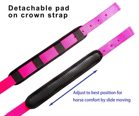 Heavy Duty Adjustable Horse Halter With Soft Nylon And Waffle Neoprene Cushions On Crown And Nose Built Tough Detachable Cushioned Pad