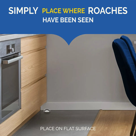 Fast Acting Liquid Roach Bait 6 Pack near kitchen baseboards for effective cockroach control and nest elimination.