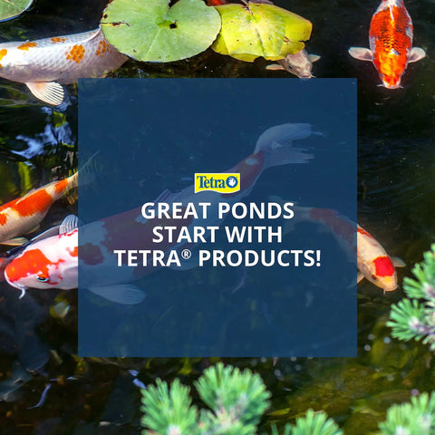 Pond with colorful koi fish and green lily pads, promoting energy efficient pond statuary pump for indoor outdoor use.