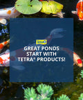 Colorful koi fish swimming in a pond with lily pads, highlighting "Great Ponds Start With Tetra Products!" message.