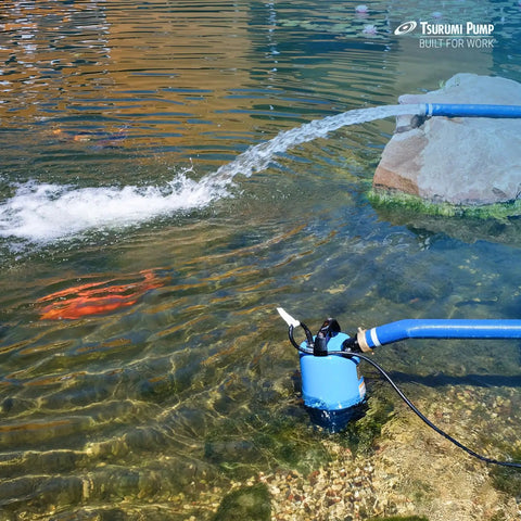 LB-800 Submersible Dewatering Pump in pond pumping water, showcasing 1 HP 115V 2-inch discharge capability, slimline design in action