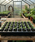 5-Set Seed Starter Tray Kits With Humidity Vented Domes And Bases For Durable Germination Trays in greenhouse environment