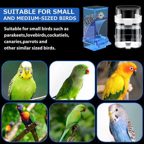 Slick No Mess Blue Clear Acrylic Bird Feeder And Water Dispenser Set With Six Automatic Gravity Feeders For Backyard Flocks with small birds.