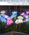 3 Pack Upgraded Solar Garden Lights Colorful Hydrangea Flower Garden Decor For Yard Pathway Outdoor Lighting at night