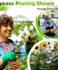 Two Pack Garden Pruning Shears Kit With Eight Inch Bypass Pruner And Six And A Quarter Inch Straight Tip Pruner in use