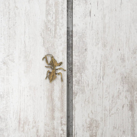 Antique Mantis Cabinet Pulls And Drawer Knobs For Dresser Closet Cupboards And Doors In Coffee Brass Finish on white wood