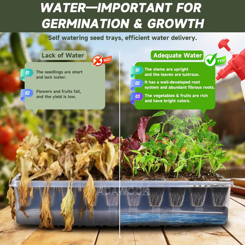 Self Watering Seed Starter Kit With 120 Cell Tray And Humidity Domes, illustrating effects of different water levels on plant growth.