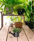 Heavy Duty Metal Watering Can With Big Capacity Galvanized Black Sprayer For Outdoor Garden Care Boss Grade Tool For Flowers And Lawn Easy Refill Spout Ergonomic Handle Indoor And Outdoor Plant Watering on wooden table with potted plants