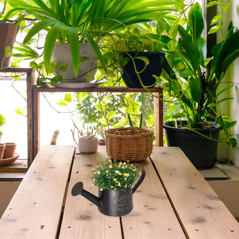 Heavy Duty Metal Watering Can With Big Capacity Galvanized Black Sprayer For Outdoor Garden Care Boss Grade Tool For Flowers And Lawn Easy Refill Spout Ergonomic Handle Indoor And Outdoor Plant Watering on wooden table with potted plants