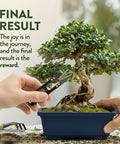 All In One Bonsai Starter Kit For Plant Lovers Grow Four Bonsai Trees At Home With Four Pots Soil Pellets Markers Seed Packets