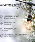 Ambience Pro Waterproof LED Outdoor String Lights for Patio 48 Ft With 15 Hanging Dimmable 2W Vintage Edison Bulbs in snow