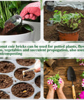 10 Pack Coconut Coir Bricks For Seed Starting And Garden Substrate That Is 100 Percent Organic With Low EC And Balanced pH Ideal For Flowers Herbs Vegetables And Indoor Or Outdoor Plants in use with plants and gardening tools.