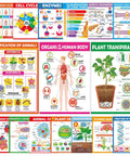 16 Pack Life Science Biology Posters For Classroom Decor Anatomy And Cell Structure Charts DNA Photosynthesis Cell Cycle