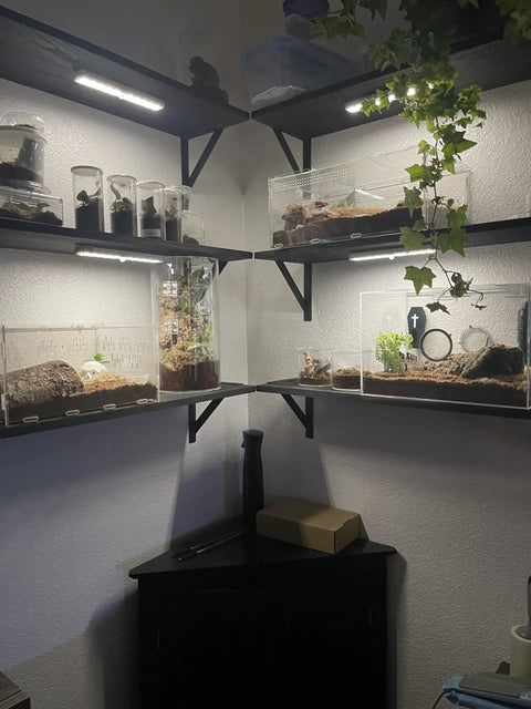 Room corner with shelves lit by rechargeable wireless under cabinet lights with remote control, 48 LED bright white and RGB.