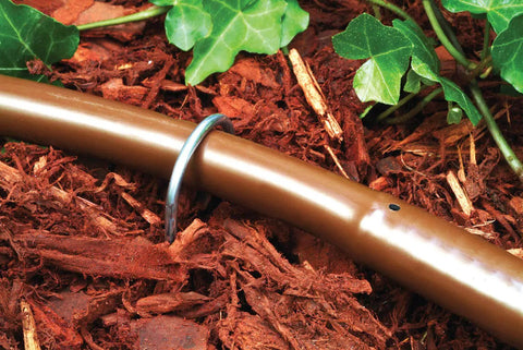 Installed view of Heavy Duty Galvanized 6 Inch Workhorse Ground Stake Set For Half Inch Drip Irrigation Tubing 10 Pack Keeps Tubing In Place All Weather Corrosion Resistant 12 Gauge Steel securing brown tubing in garden mulch.