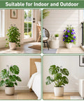 32.6 Inch Expandable Metal Plant Trellis For Indoor And Outdoor Climbing Plants Two Pack Heavy Duty Tall Support with plants indoors