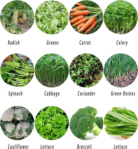 Various vegetable types like radish, greens, carrot, and celery visually grouped in an image grid.