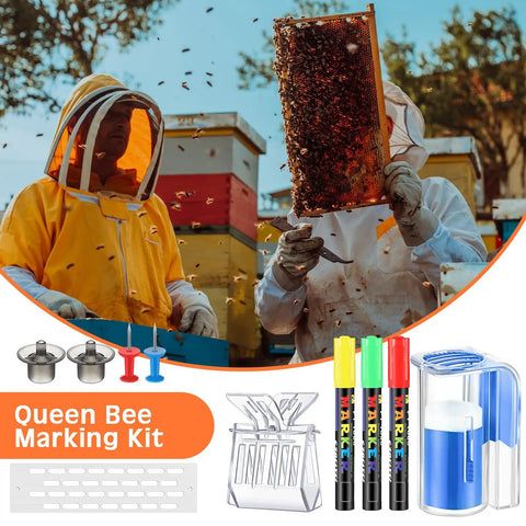 Beekeeping Starter Kit 11 Piece Queen Bee Marking Set with beekeepers examining honeycomb frame, tools displayed below