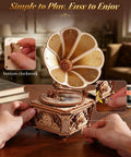Dope Vintage Gramophone 3D Puzzle For Adults, Wooden Music Box And Mechanical Model Building Kit, DIY Craft For Music Lovers, Retro Home Decor Gift For Men And Women, Wind Up Music Box With Emperor Waltz. Wooden wind-up gramophone model on desk