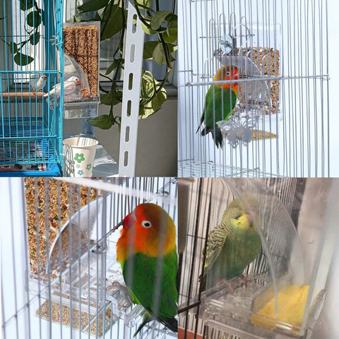 Top Tier No Mess Bird Feeder Set That Keeps The Cage Crisp Includes Cozy Perch And Crystal Clear Acrylic Hopper ideal for parakeets