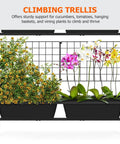 Close-up of plants using trellis in 32 Inch Tall Elevated Raised Garden Bed With Trellis And Sturdy Legs For Vertical Outdoor Gardening.
