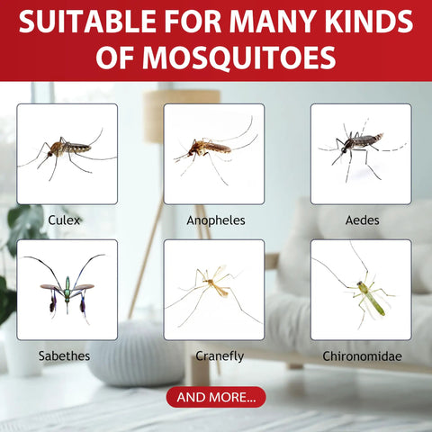 Various mosquito types suitable for Six Pack Mosquito Zapper Lure Refills Attractant Bait For Fly Traps Indoor Outdoor