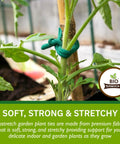 Soft Strong Stretchy Garden Plant Ties No-Fuss For Indoor And Outdoor Plants securing a tomato plant to a wooden stake.