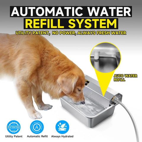 Slick Automatic Dog Water Dispenser With Hella Sturdy Two Gallon Stainless Steel Bowl For Indoor Outdoor Setup And Dead Simple Livestock Hydration Fitting Standard Faucet Adapters with dog drinking water.