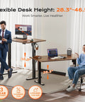 Wide 55 By 27.6 Inch Electric Standing Desk With Deep Desktop Height Adjustable Sit Stand Computer Desk For Home Office Scene