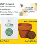 Sunflower Seed Starter Kit Bulk 20 Pack With Mini Terracotta Pots For Weddings DIY Crafts Classroom Projects Party Favors And Easy Home Gardening For All Ages, displaying seed packet, terracotta pot, and growing medium.