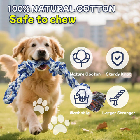 Four Pack Heavy Duty Dog Rope Toys For Aggressive Chewers, Golden Retriever chewing nearly indestructible cotton rope outdoors