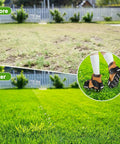 Comparison of lawn before and after using Lawn Aerator Shoes With 26 Nails, showing lush green grass. Inset of shoes with spikes.