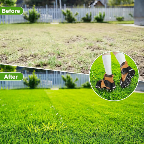 Comparison of lawn before and after using Lawn Aerator Shoes With 26 Nails, showing lush green grass. Inset of shoes with spikes.