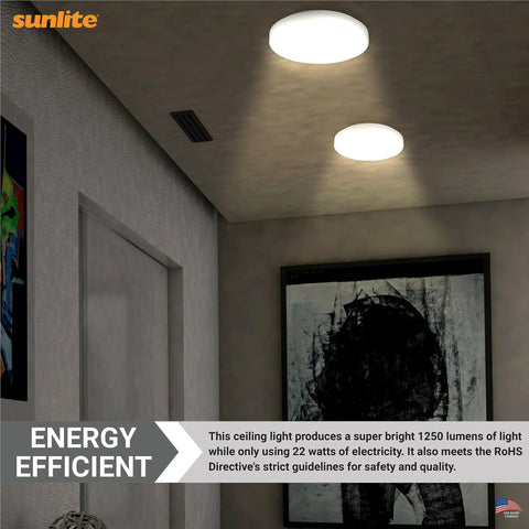 Ceiling with 8 Inch T9 Round Fluorescent Circline Lamp 22W 1250 Lumens 4100K Cool White G10Q 4 Pin Base 1 Pack Energy Efficient