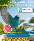 Solar Powered Bird Feeder With Camera For Backyard Watching 2K HD Live Streaming AI Species Recognition Motion Alerts Weatherproof in use with a bird on feeder.
