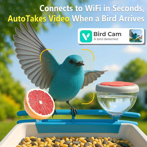 Solar Powered Bird Feeder With Camera For Backyard Watching 2K HD Live Streaming AI Species Recognition Motion Alerts Weatherproof in use with a bird on feeder.