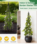 Beefy 6 Foot Garden Trellis For Climbing Plants With Thickened 16mm Metal Pipes, Heavy Duty Plant Support for indoor and outdoor use