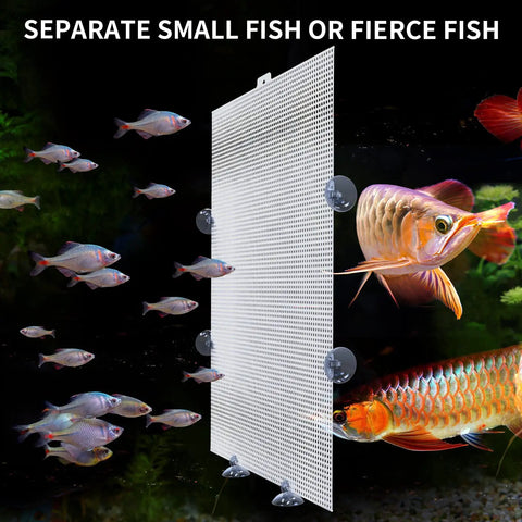 2 Pack Clear Aquarium Fish Tank Dividers With Heavy Duty Suction Cups Cuttable Plastic Mesh Grid For Breeding And Fry Segregation Dead Simple Diy Setup Smooth Sailing Layouts 10 By 13 Inches against backdrop of various fish.
